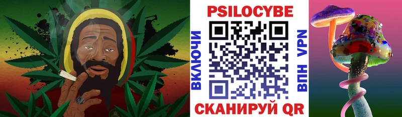 Купить закладки  Мурино  Галлюциногенные грибы MAGIC MUSHROOMS 